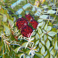 Gallery: thumbnails